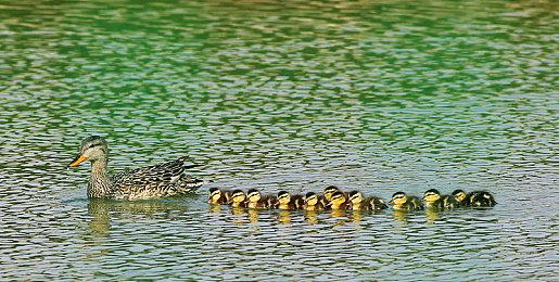 传闻：《红色沙漠》和《多可比》均向后延期一年发售